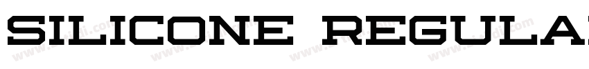 Silicone Regular字体转换